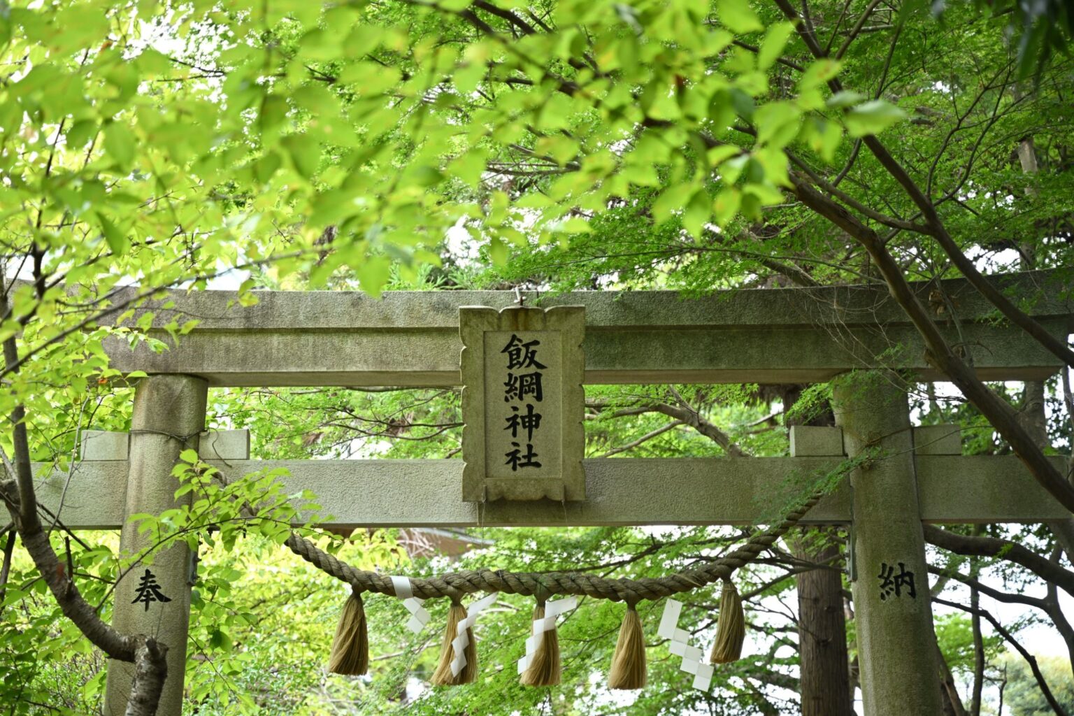 【飯綱神社】 やちよタウンビジョン